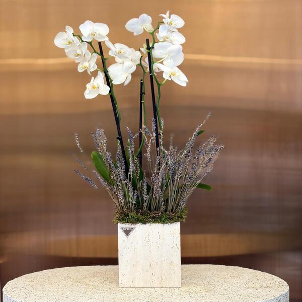 a6c23c46_WhatsApp Image 2026-03-31 at 1.40.58 PM.jpeg